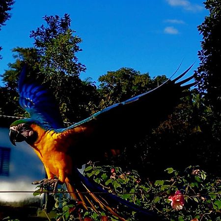 Pousada Canto Dos Passaros Alto Paraíso de Goiás Bagian luar foto