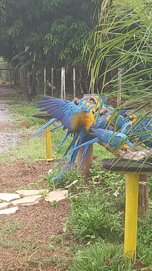 Pousada Canto Dos Passaros Alto Paraíso de Goiás Bagian luar foto