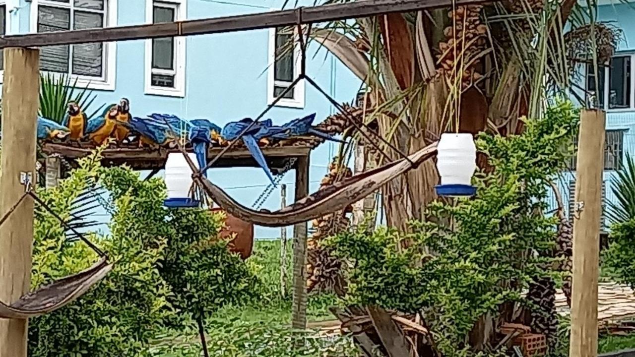 Pousada Canto Dos Passaros Alto Paraíso de Goiás Bagian luar foto