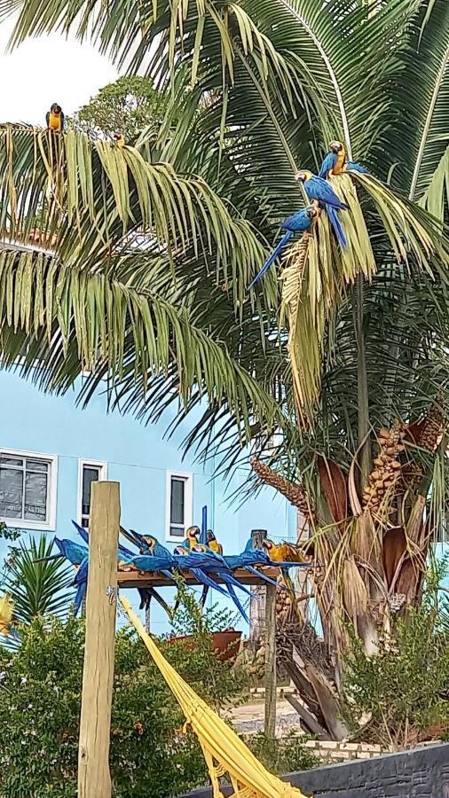 Pousada Canto Dos Passaros Alto Paraíso de Goiás Bagian luar foto