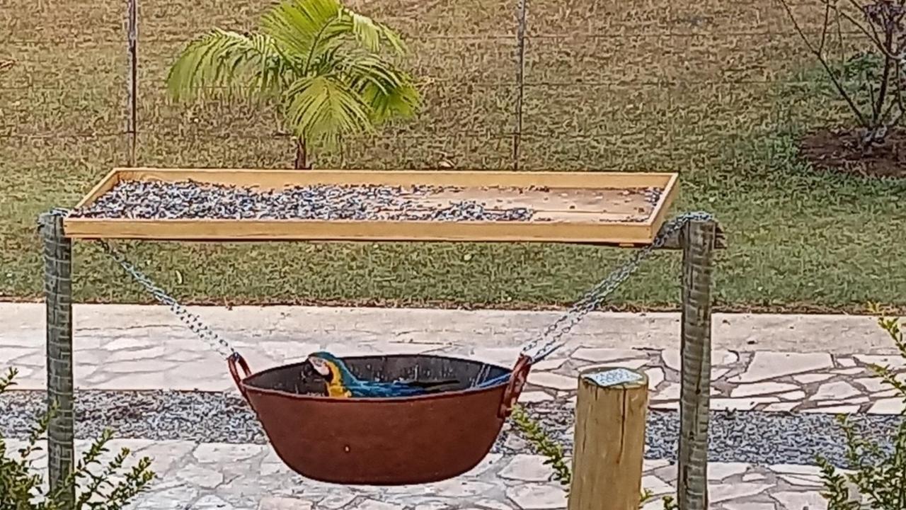 Pousada Canto Dos Passaros Alto Paraíso de Goiás Bagian luar foto